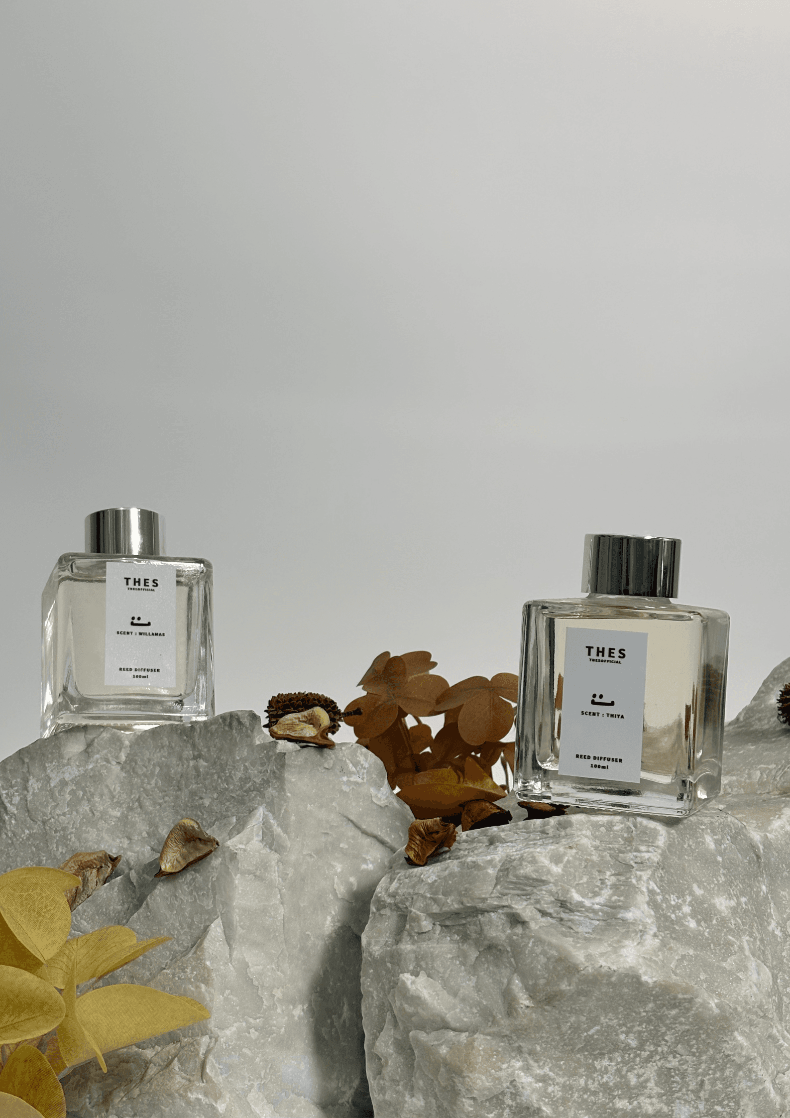 Reed Diffuser 100 ML 